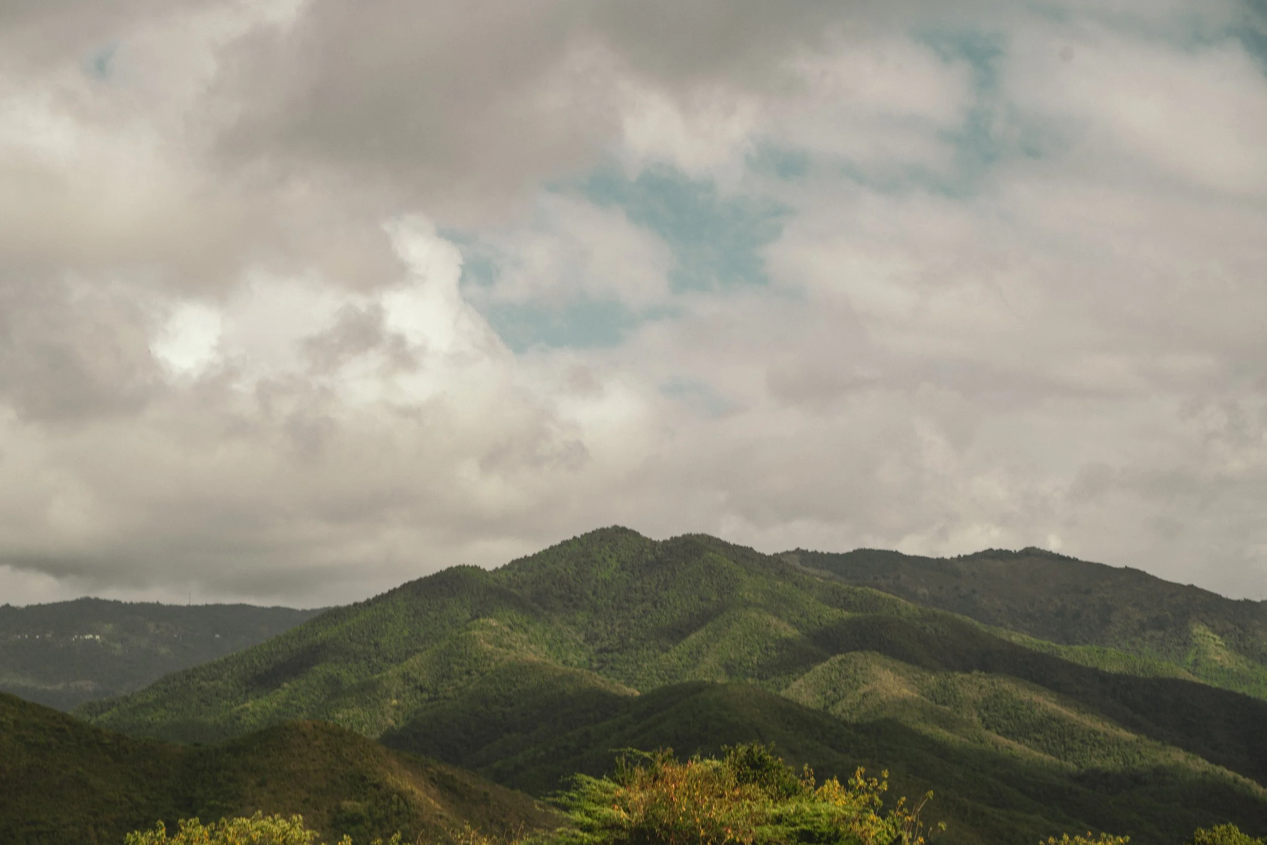 Green rolling hills with lush trees and a cloudy sky above.