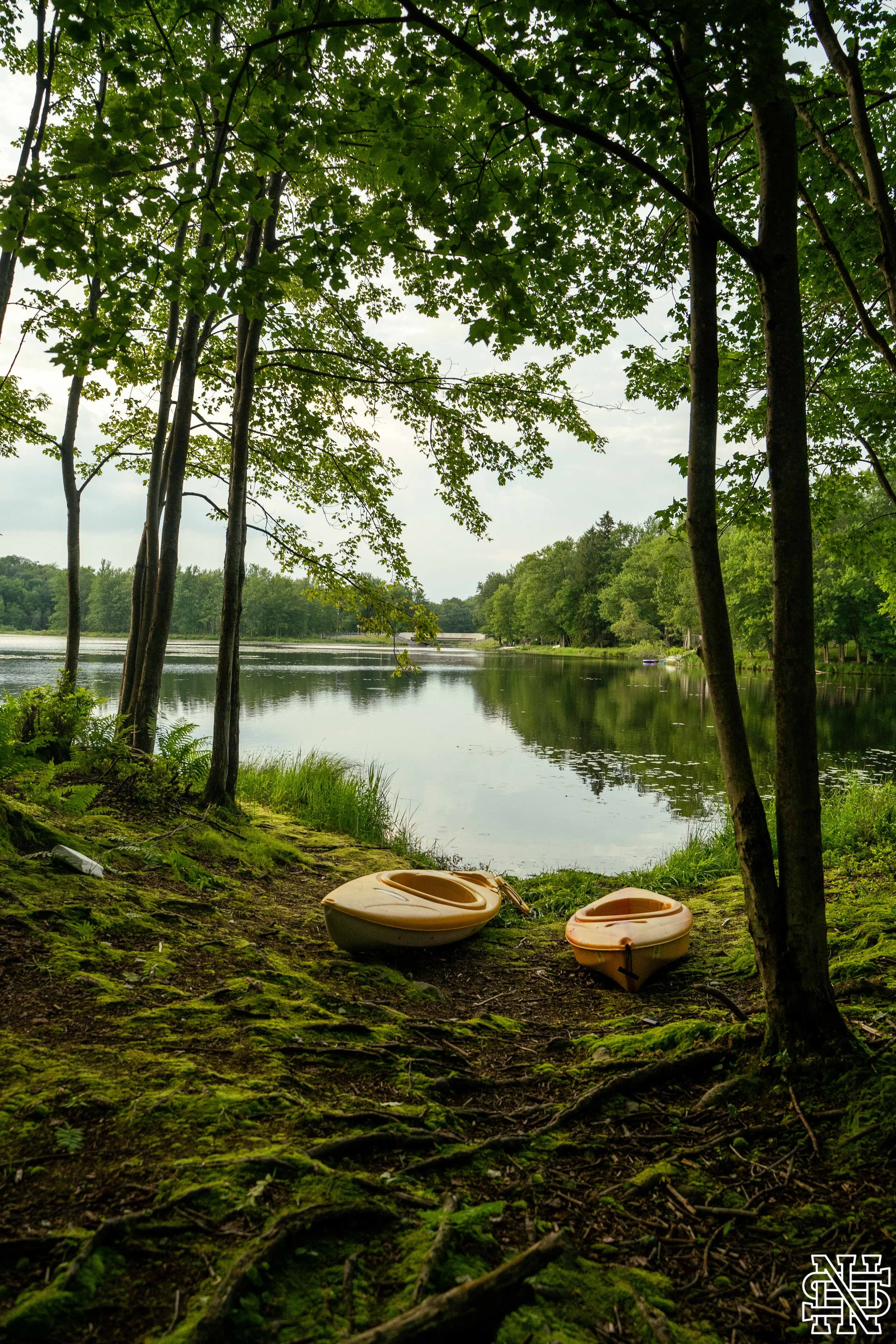 A peaceful lakeside scene with two orange kayaks resting on mossy ground under trees. The calm lake reflects the overcast sky and surrounding green trees.