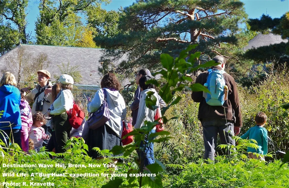 Kids & parents on a Bug Hunt with naturalist at Wave Hill, The Bronx, New York. the kids were enthralled. Image: R. kravette