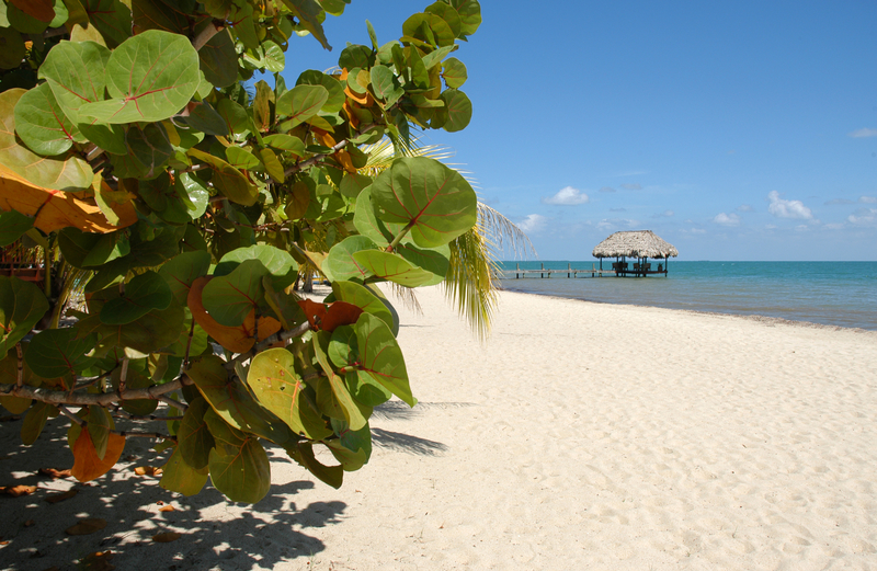 BEAUTIFUL PLACENCIA, CALLED "THE CAYE YOU CAN DRIVE TO." BOOK ACCOMMODATIONS IN ADVANCE DURING WHALE SHARK SEASON. ©TOMAS HAJEK⎮DREAMSTIME.COM