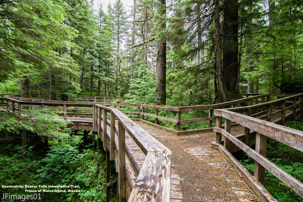 THE ACCESSIBLE RAISED WAKWAYS, LIKE THE BEAVER FALLS INTERPRETIVE TRAIL, MAKE EXPLORING PRINCE OF WALES ISLAND ENJOYABLE FOR THE WHOLE FAMILY. IMAGE: THANKS TO JFIMAGES.