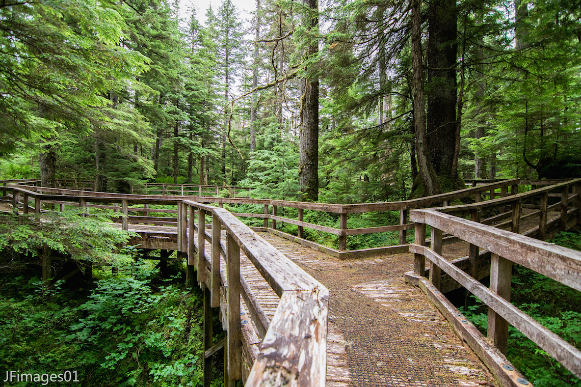 THE BEAVER FALLS INTERPRETIVE BOARDWALK TRAIL IS THE PERFECT WAY FOR FAMILIES TO EXPLORE THE RAINFOREST. THIS TRAIL LEADS TO EL CAPITAN CAVE FOR THE MORE ADVENTUROUS (ADULT) MEMBERS OF THE EXPEDITION. IMAGE: THANKS TO JFIMAGES01