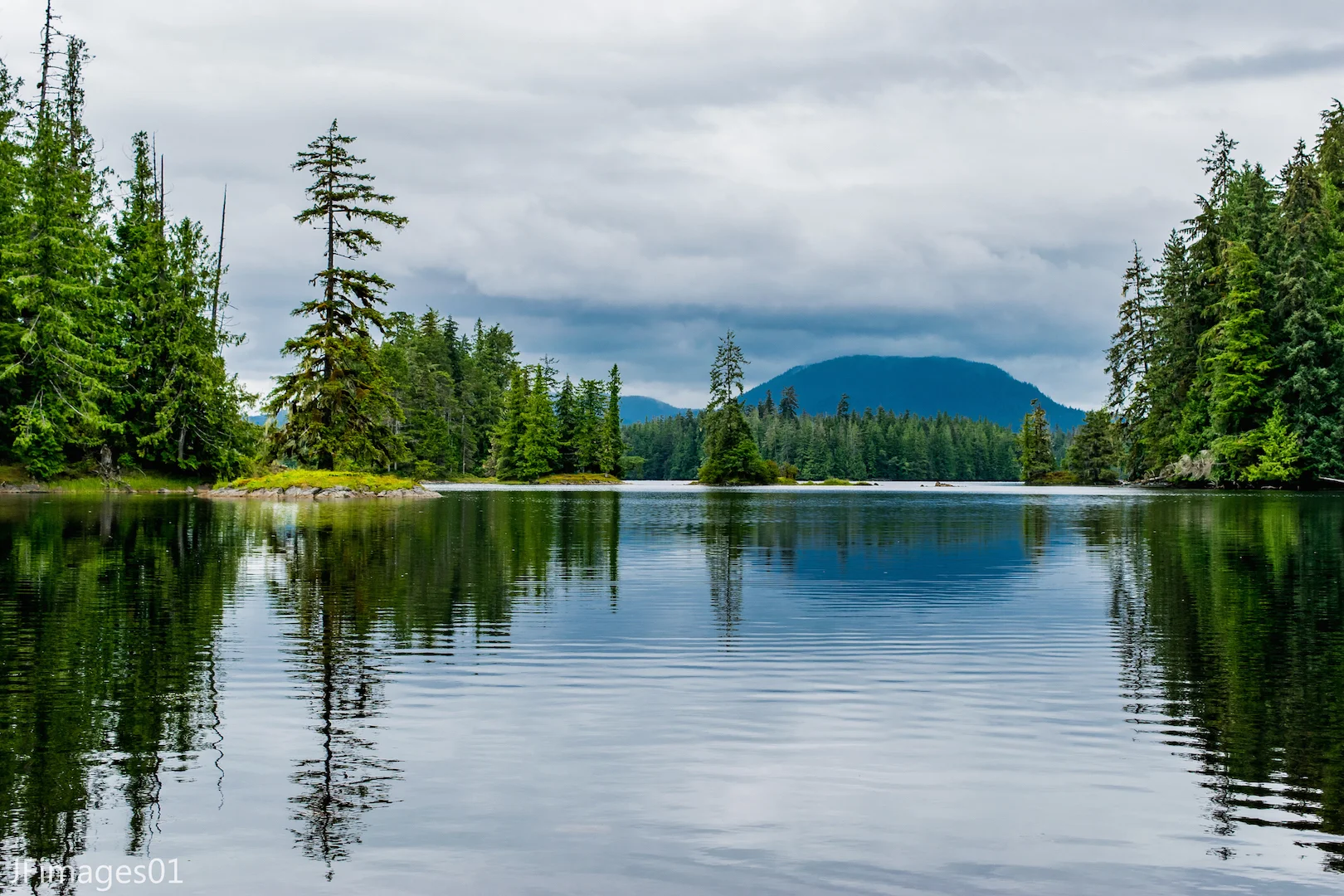 Prince of Wales Island Things to Do — Destination Wildlife™