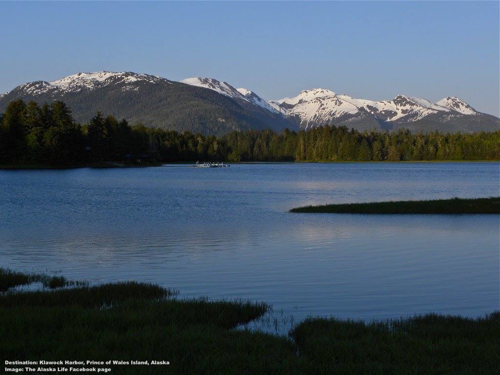 Prince Of Wales Island The Scoop Destination Wildlife