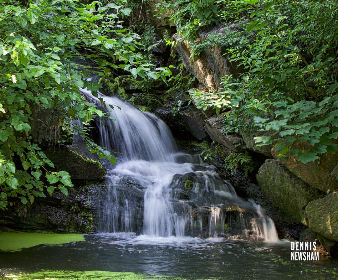 HIDDEN WATERFALLS ARE PART OF CENTRAL PARK SURPRISES. THIS ONE IS IN THE SECTION CALLED THE NORTH WOODS. IMAGE: COURTESY OF DENNIS NEWSHAM