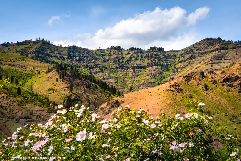 The last walk with Granddad was in Hells Canyon, Washington. Image: ©Zrfphoto⎮Dreamstime.com