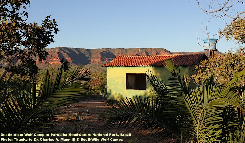 ECO-FRIENDLY SOUTHWILD WOLF CAMPS KEEP A SMALL FOOTPRINT BUT ARE SURPRISINGLY COMFORTABLE. BONUS! UNLIKE ITS AMAZON NEIGHBOR, THE CERRADO IS DRY, WITH FEW IF ANY MOSQUITOS OR OTHER PESTS, HOWEVER, WILDLIFE LIKE MANED WOLVES & MACAWS ARE "REGULARS". IMAGE: THANKS TO ©CHARLES A. MUNN AND SOUTHWILD, BRAZIL.