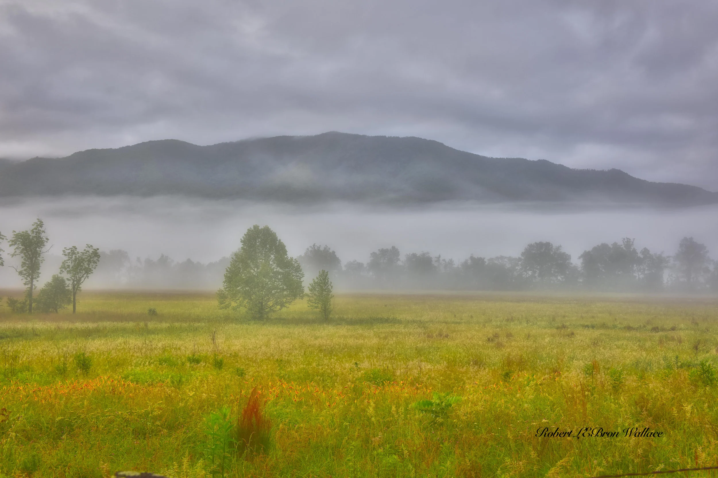 THE BLUE MIST FOREVER HOVERING OVER ITS PEAKS AND WILD FLOWER FILLED VALLEYS GIVES THE BLUE RIDGE MOUNTAINS A MYSTERIOUS OTHER-WORLDLY FEEL. IMAGE ROBERT LEBRON WALLACE.