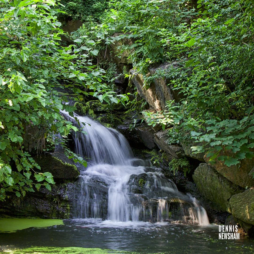 North-woods-waterfall-Central-Park-New-York.jpeg