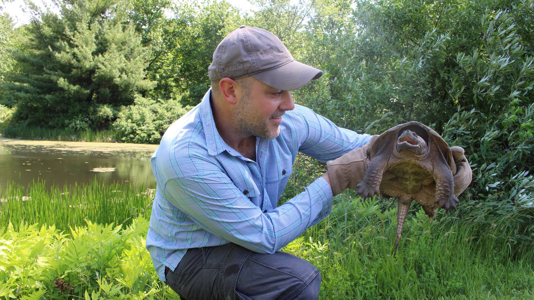 NATURE INITIATIVE DIRECTOR, J. MARK FOWLER, an avid conservationist, wildlife expert, and film maker introduces one of grace farms' wild residents to thier visitors. image: courtesy of grace farms