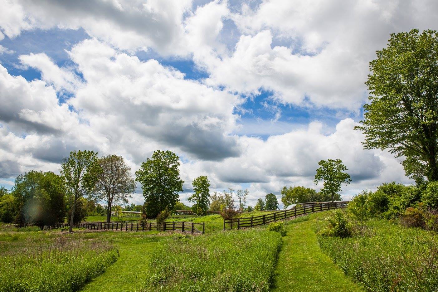 enjoy a family hike or a solitary stroll in grace farms peaceful landscape. Image: Vanessa Van Ryzin, courtesy of grace farms