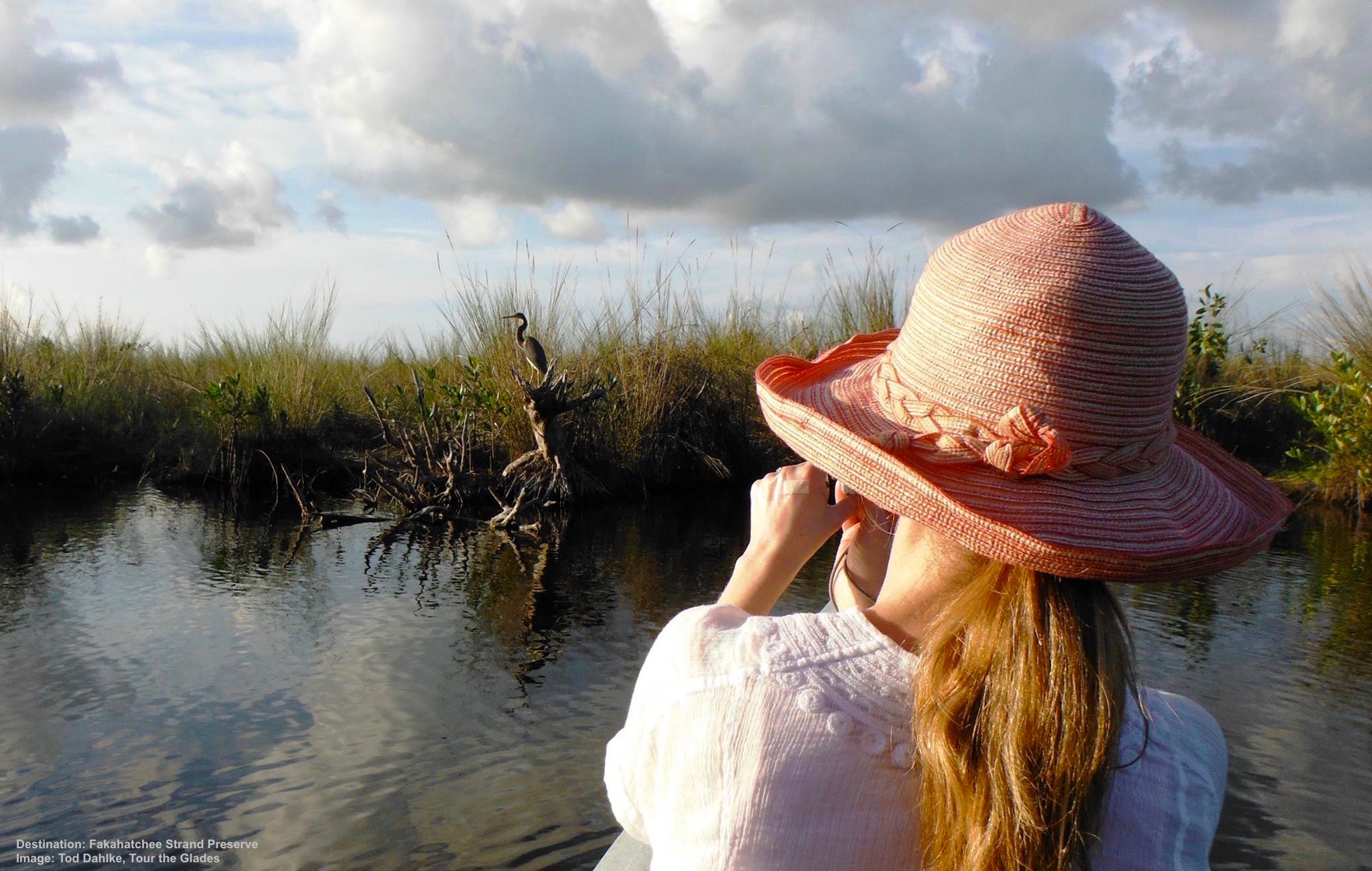 IN A KAYAK IS THE BEST WAY TO SEE WADERS & OTHER BEAUTIFUL BIRDS (ALLIGATORS TOO!). TRY A GUIDED TOUR FOR AN UNFORGETTABLE WILDLIFE EXPERIENCE. IMAGE TOD DAHLKE, TOUR THE GLADES.
