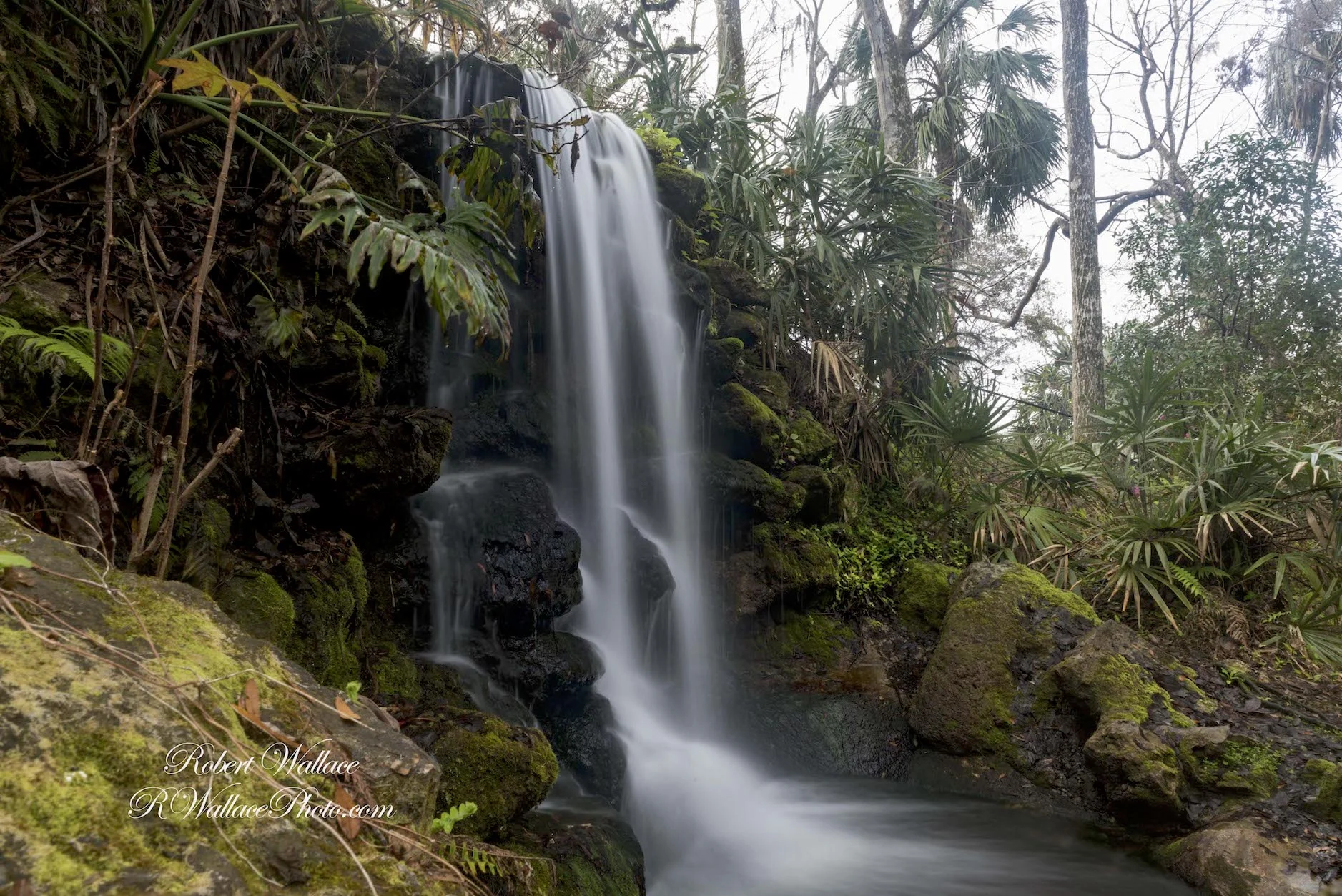 ONE OF THE WATERFALLS AT RAINBOW SPRINGS STATE PARK, AN OASIS OF NATURE CREATED ON THE SITE OF A DEFUNCT THEME PARK AND PHOSPHORUS MINE CLOSED IN 1970. IMAGE: ROBERT WALLACE RWALLACE PHOTO.COM