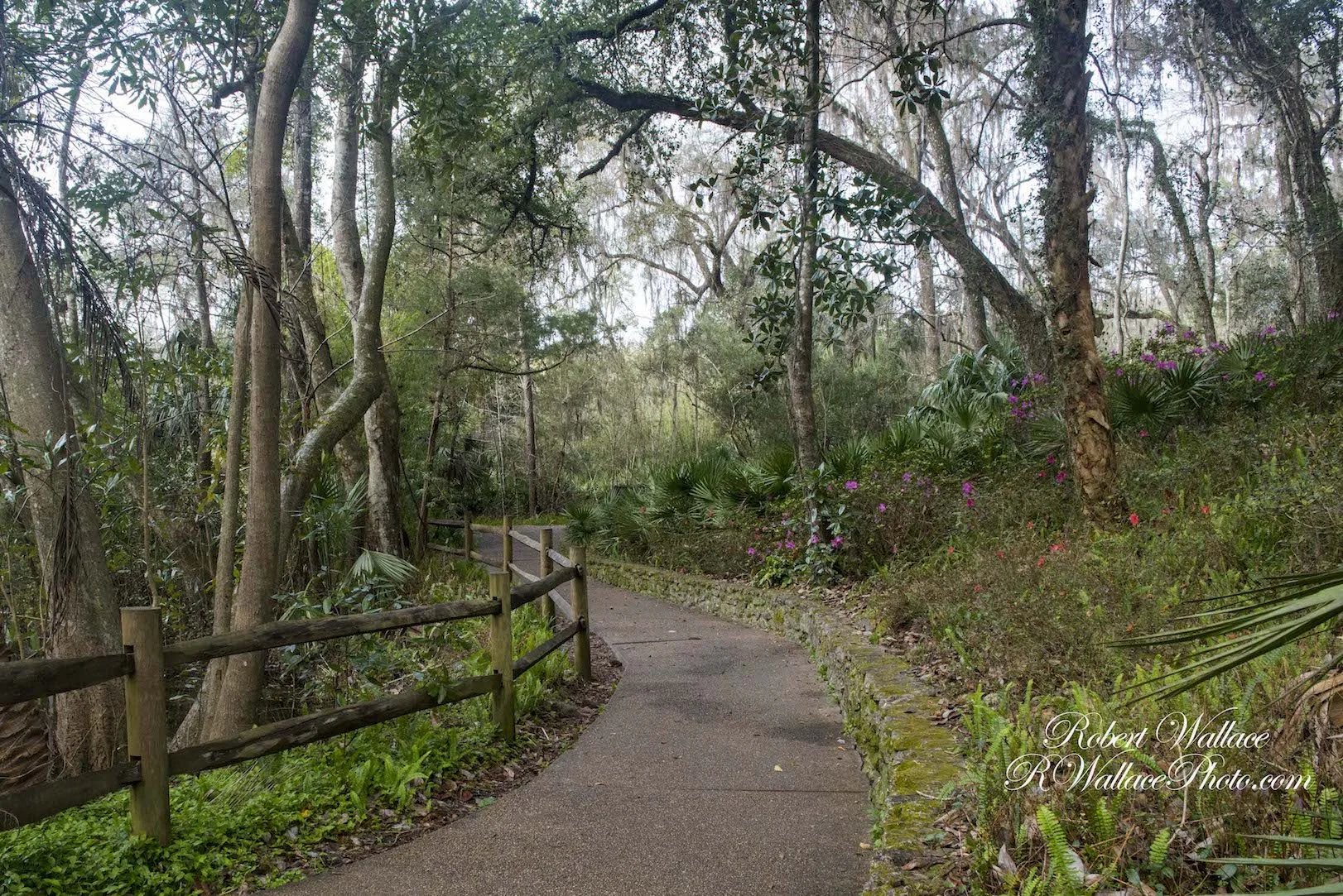 SOME OF THE PATHS ARE PEBBLE-PAVED AND GENTLY CURVING. NOT ALL OF THEM ARE AS EASILY ACCESSIBLY AS THIS, BUT THEY ARE ALL WONDERFUL AND LUSH. IMAGE: ©ROBERT WALLACE RWALLACE PHOTO