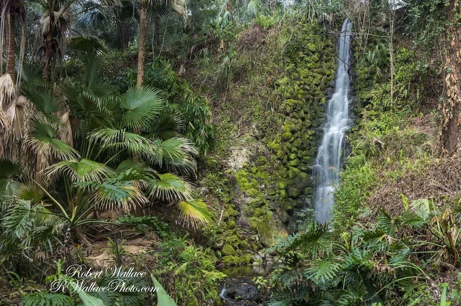 Waterfall-RainbowSPrings-State-Park-RWallace-photo.jpg