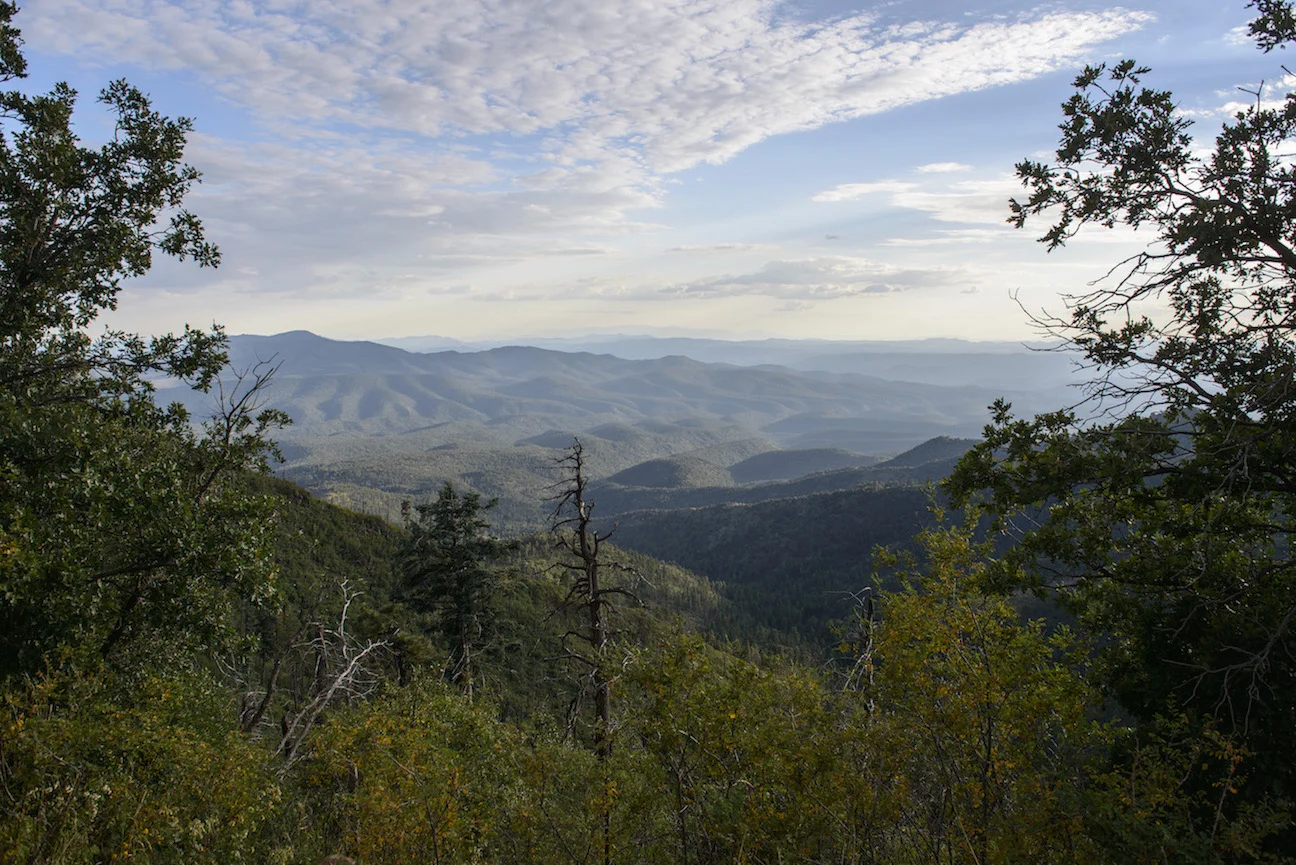 THE BLUE RANGE PRIMITIVE AREA, PART OF THE APACHE-SITGREAVES NATIONAL, IS THE FINAL DESIGNATED PRIMITIVE AREA IN THE NATIONAL FORESTRY SYSTEM. IMAGE: ©Jorn Vangoidtsenhoven, VANGO PHOTOS.