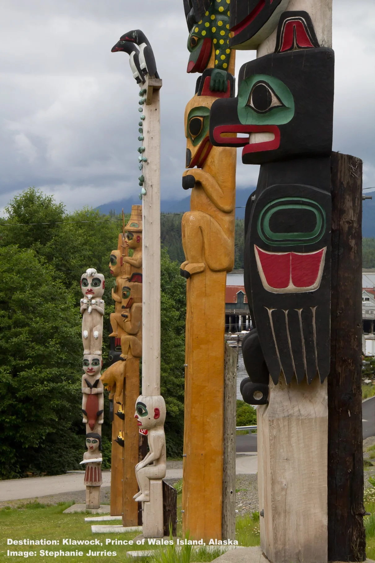 IMAGINE A PLACE WHERE YOU CAN FIND 800 YEARS OLD TREES, AND A 10,000-YEAR OLD CULTURE, AS WELL AS FISH EATING GRAY WOLVES - THAT PLACE IS PRINCE OF WALES ISLAND. IMAGE: Stephanie Jurries, Emerald Island Photography.