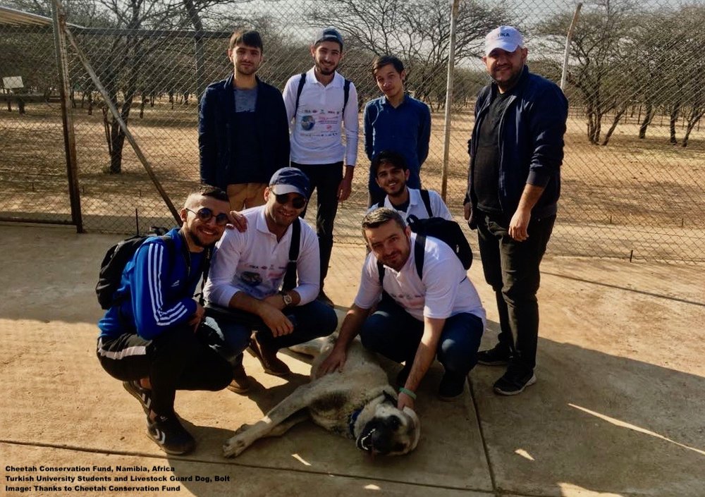 4 Wildlife Saving Organizations That You Should Know — Destination: Wildlife ™ 4 Wildlife Saving Organizations That You Should Know — Destination: Wildlife ™