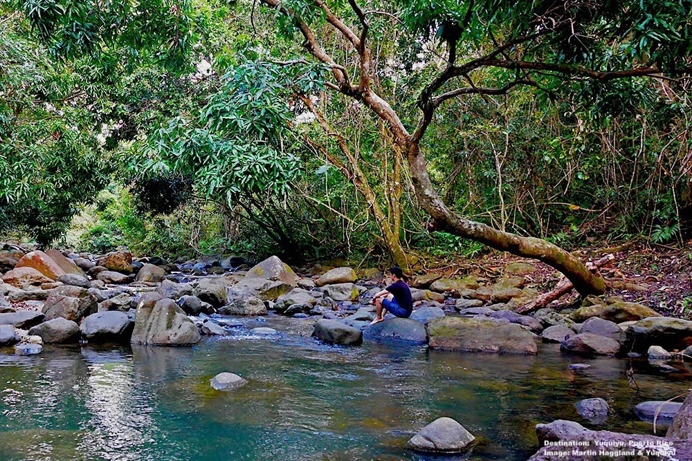 SERENITY, BEAUTY, AND RENEWAL ARE THE THREE WORDS MARTIN USES TO DESCRIBE YUQUYU. IMAGE: ©MARTIN HAGGLAND