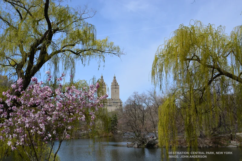Spring CP Johannes Onnes dreamstime_s_54597017 copy.jpg