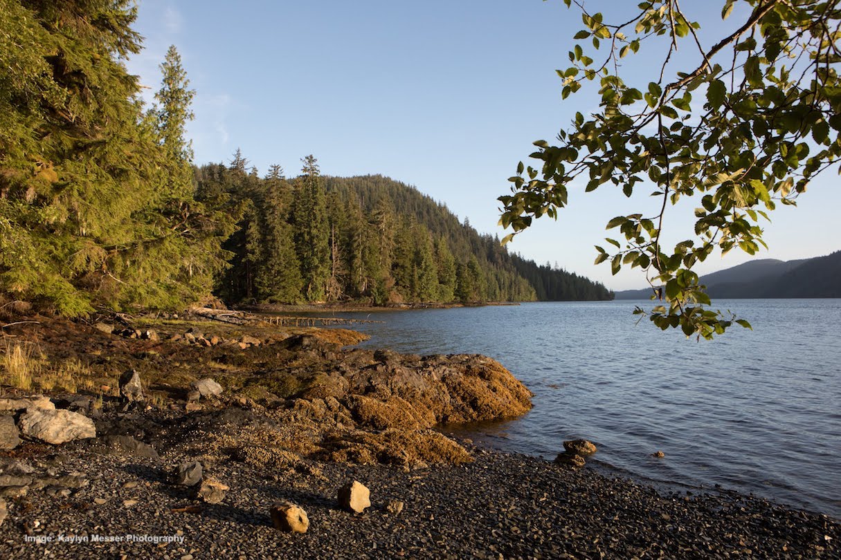 DAy 4: Island Exploration, Marine Wildlife, Bird Watching and Berries
