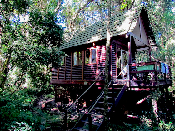DAY 1-2: MAGOEBASKLOOF, BIRD BLIND