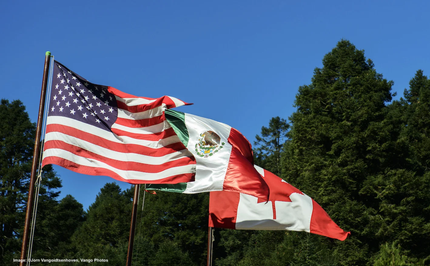 NATURE KNOWS NO POLITICS. THE FLAGS OF ALL THREE COUNTRIES THE MONARCHS DEPEND ON FOR THEIR SURVIVAL ARE PROUDLY DISPLAYED TOGETHER AT THE SANCTUARY ©Jorn Vangoidtsenhoven, Vango Photos