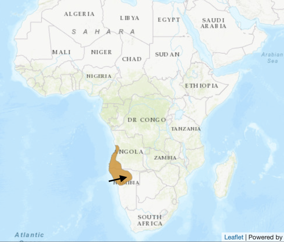 BARE-CHEEKED BABBLER RANGE MAP. THANKS TO IUCN