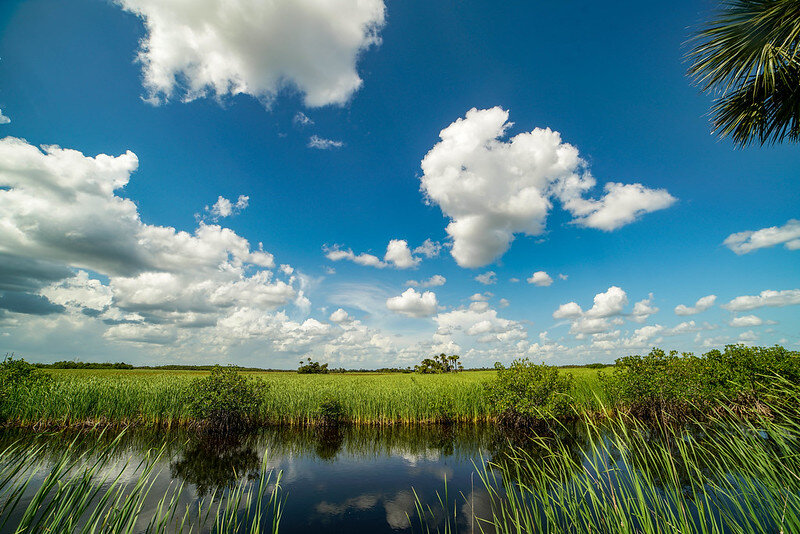 Discover the Florida Everglades National Park