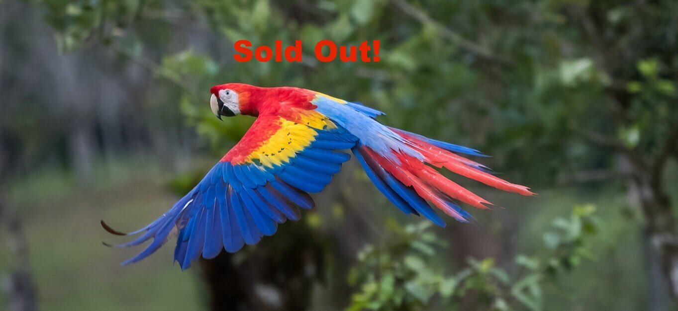 SOLD OUT: Costa Rica 11-Day Birding Tour Benefit for the Grasslands Bird Trust 