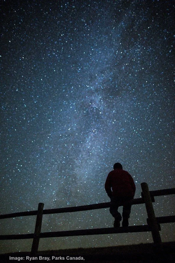 9 Reasons You Will Love the Grasslands National Park