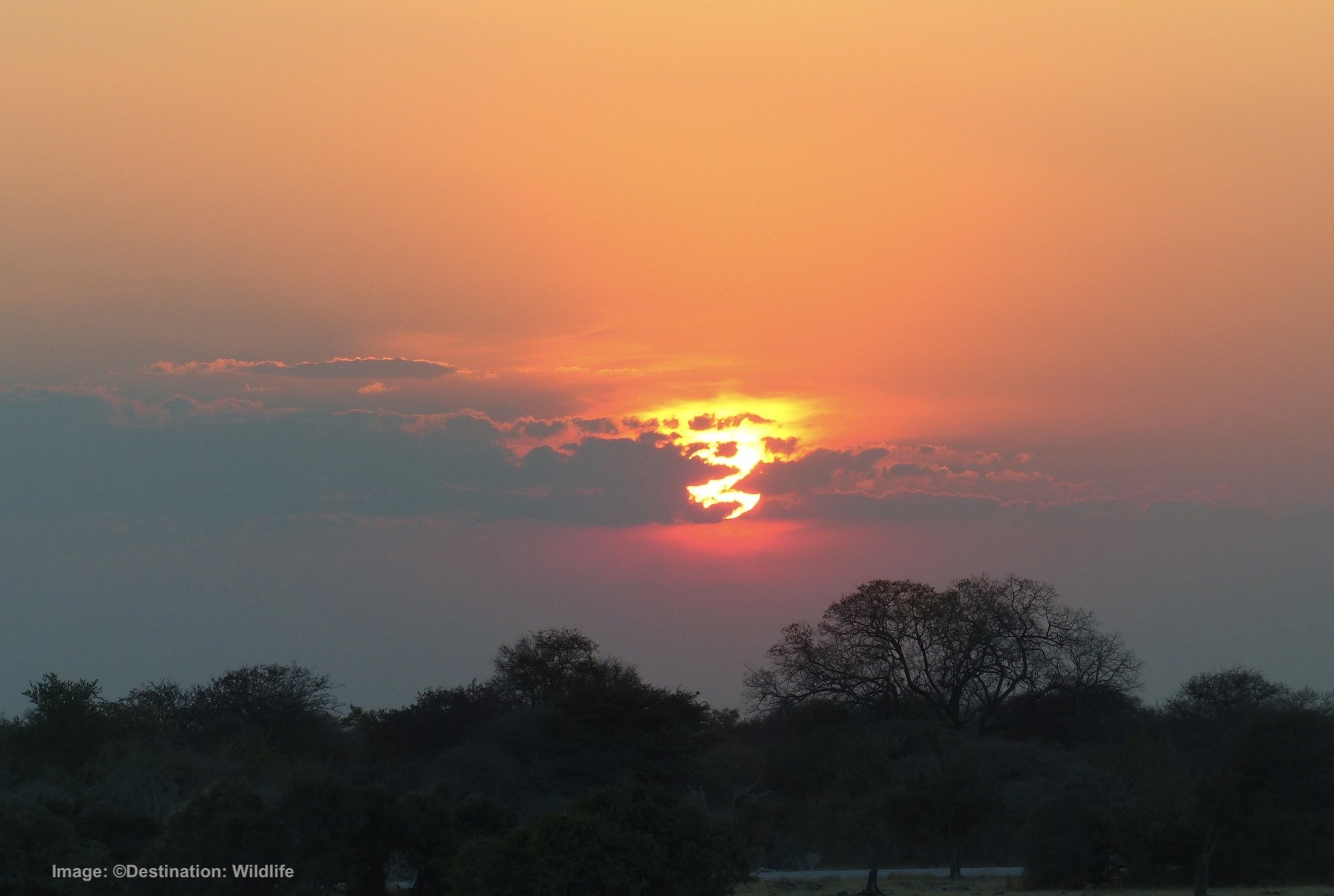 Etosha Sunset 