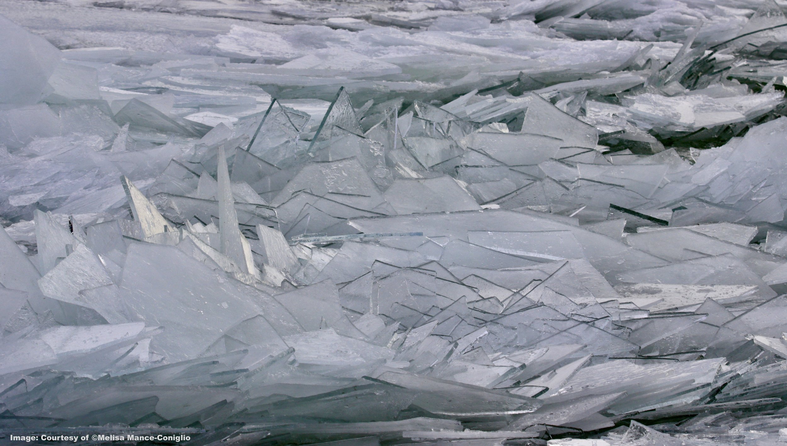 ice (©Melissa Mance-Coniglio) copy.JPG