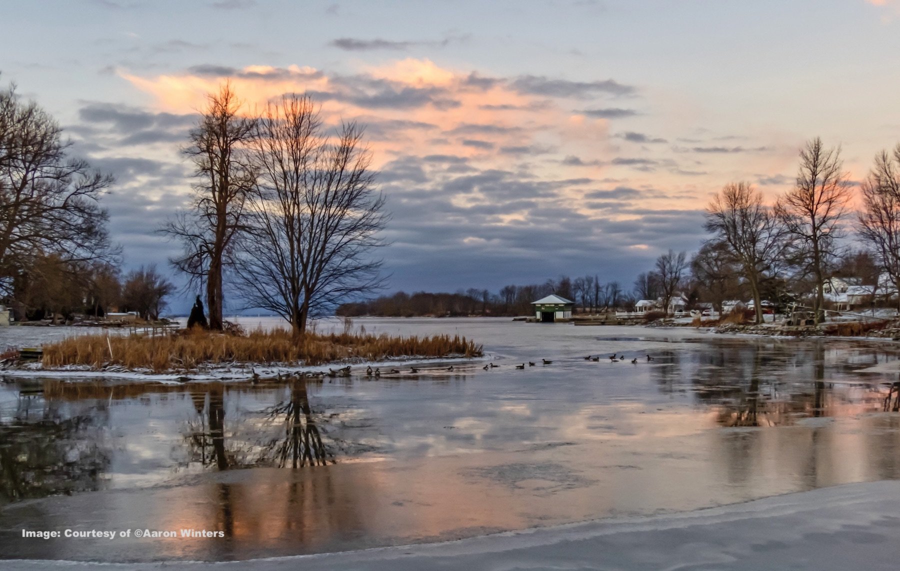 Icing On The Lake (©Aaron Winters).jpg