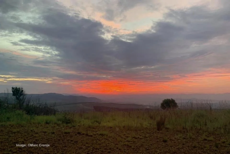 Kruger Sunset.. Image ©Marc Cronje  (Copy)