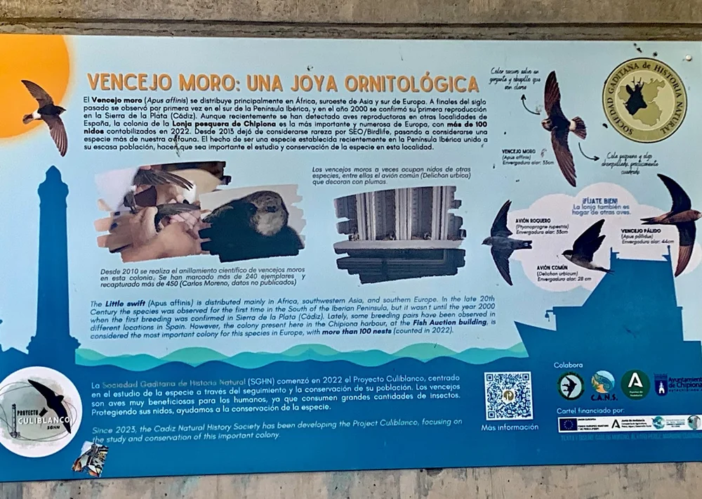 At the Cannery - Explaining "Their" Birds