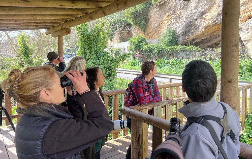 Watching nesting Northern Bald Ibis from the shelter, Terry,Chuss,Connie,Peter,Katinka, Nacho 