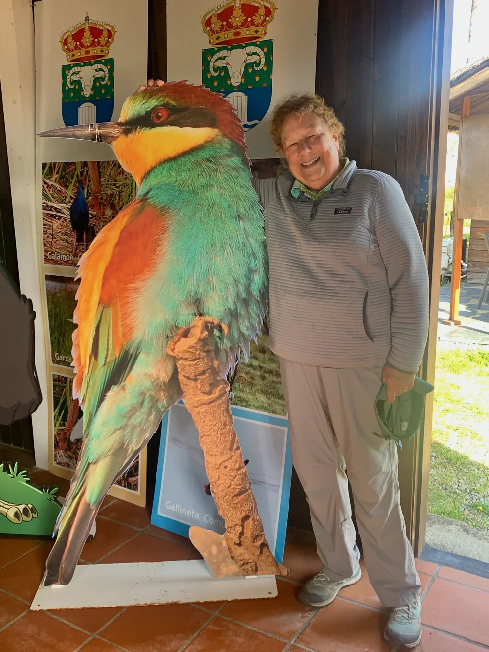 Carol meets her first Bee-eater! 