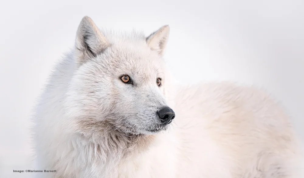 Close up - Taking it all in 