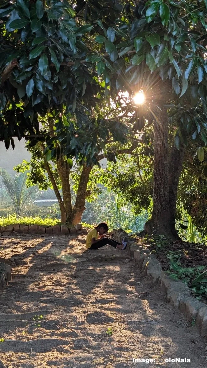 (Young) People and Forests, oloNala