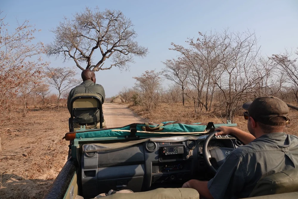 The open car with Marlo at the wheel and David scouting.