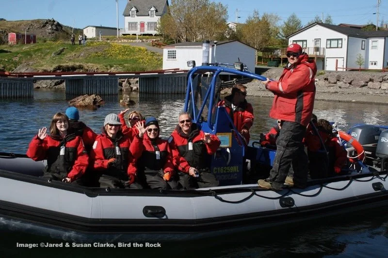 Zodiak whale watching!