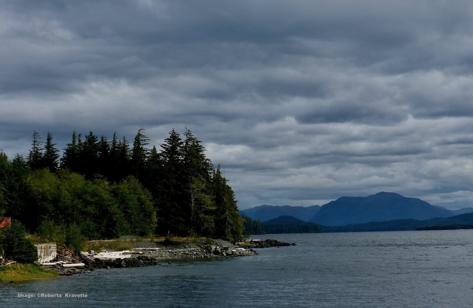 Cove at Prince of Wales Island 
