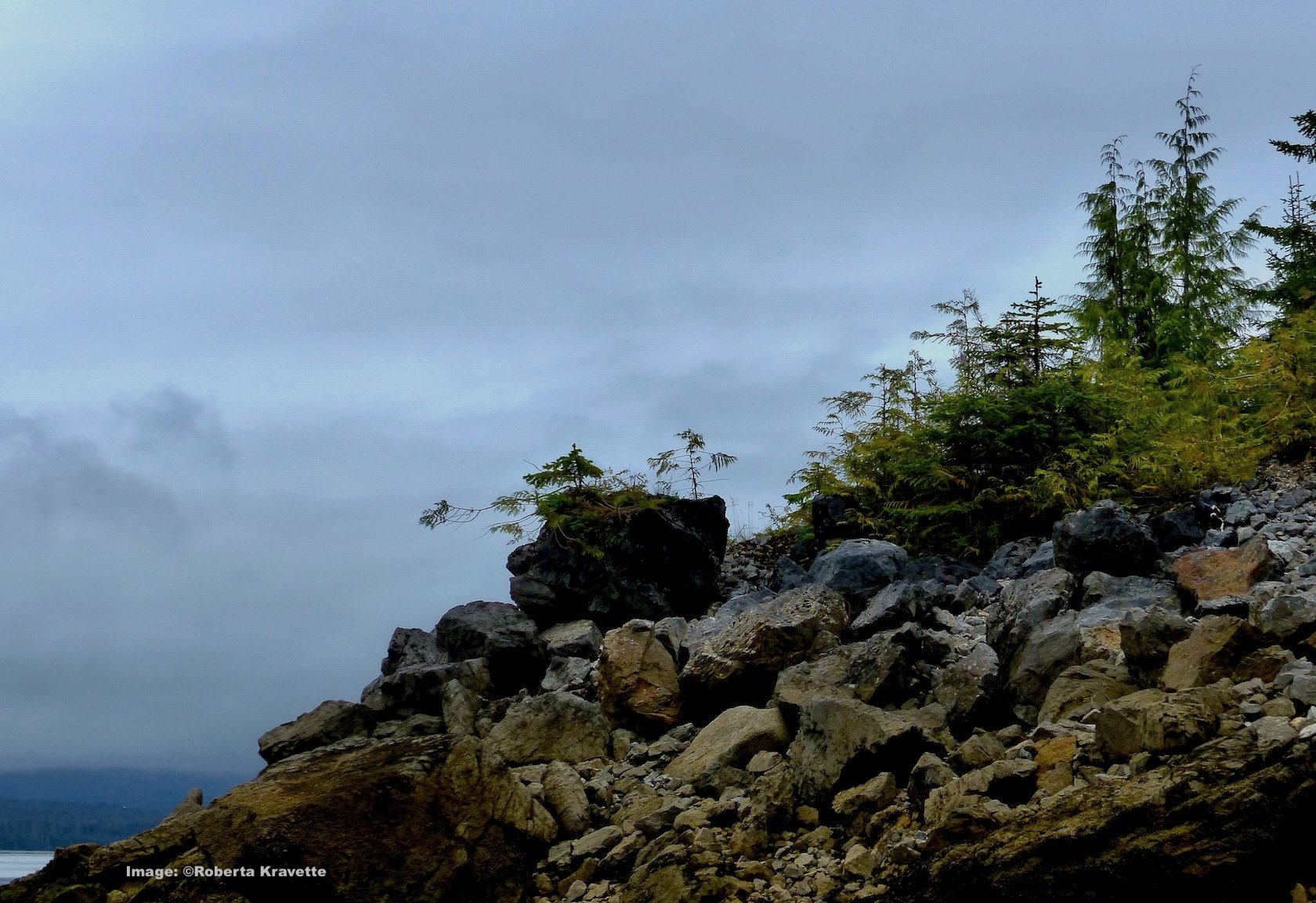 Prince of Wales, Island 