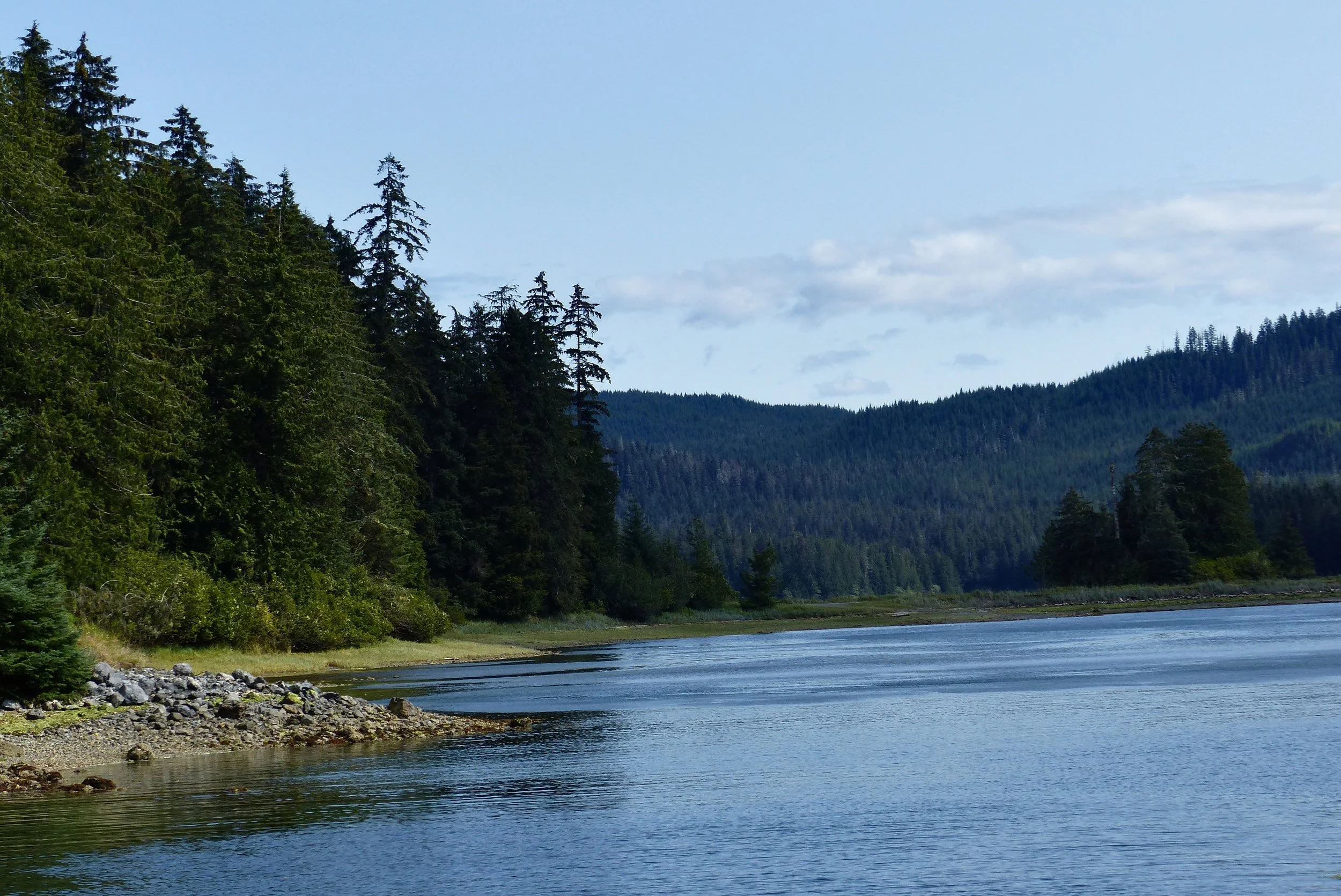 Wildlife and Culture Tour of Prince of Wales Island 