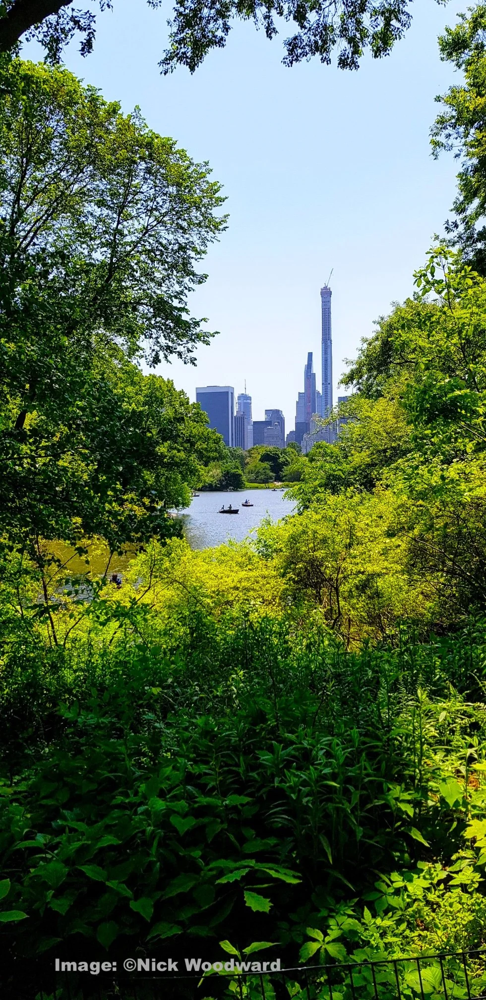 Prime birding in an urban environment