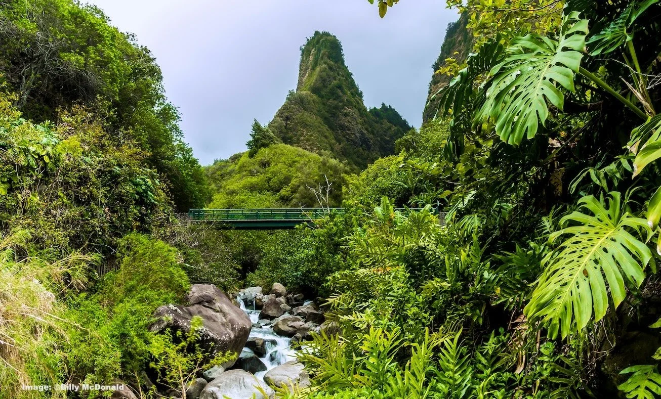 The IOA Needle and walking bridge