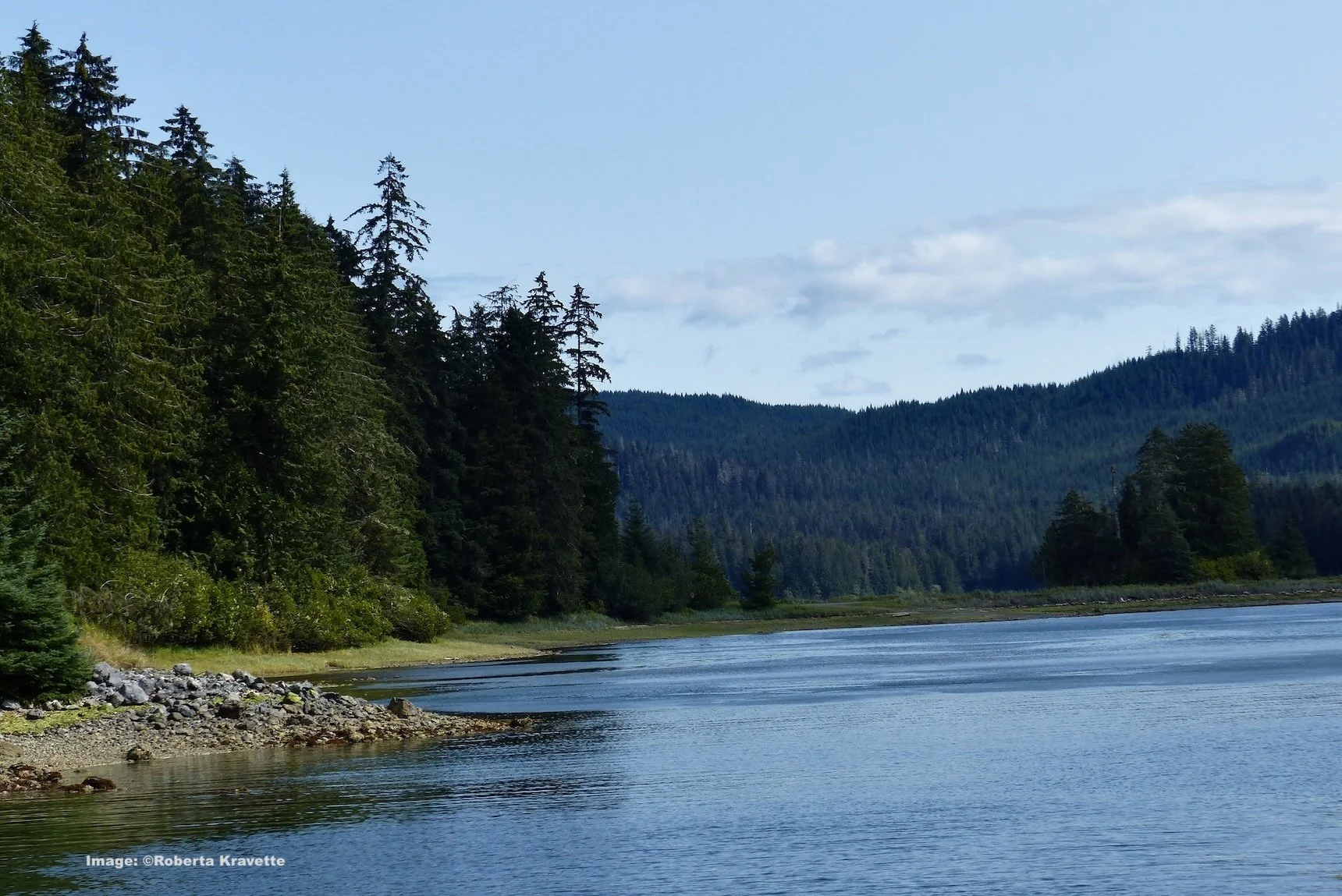 Prince of Wales Island