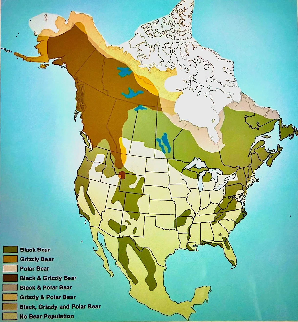 Map of bear ranges in North America