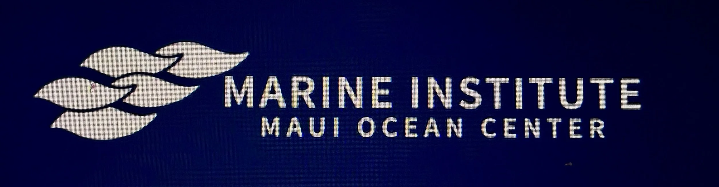 Maui Ocean Center Marine Institute
